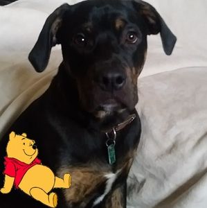 Meet your Posher, Kelly